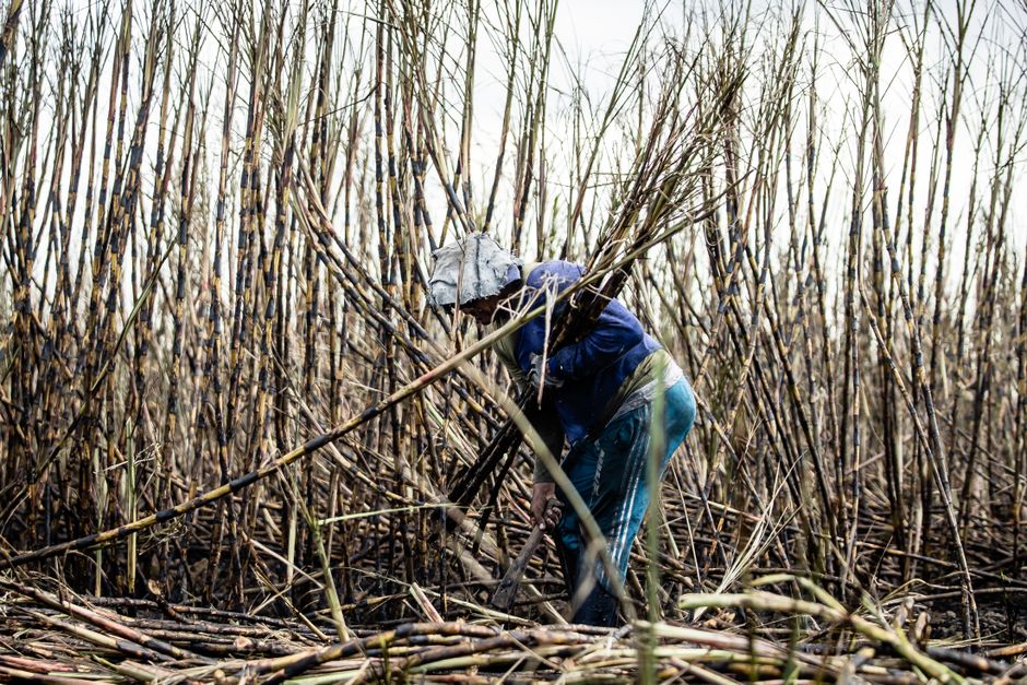 Tongaat Hulett kry ‘n nuwe ‘Vision’ — en dis nie net ‘n woordspeling nie